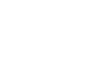 Siete