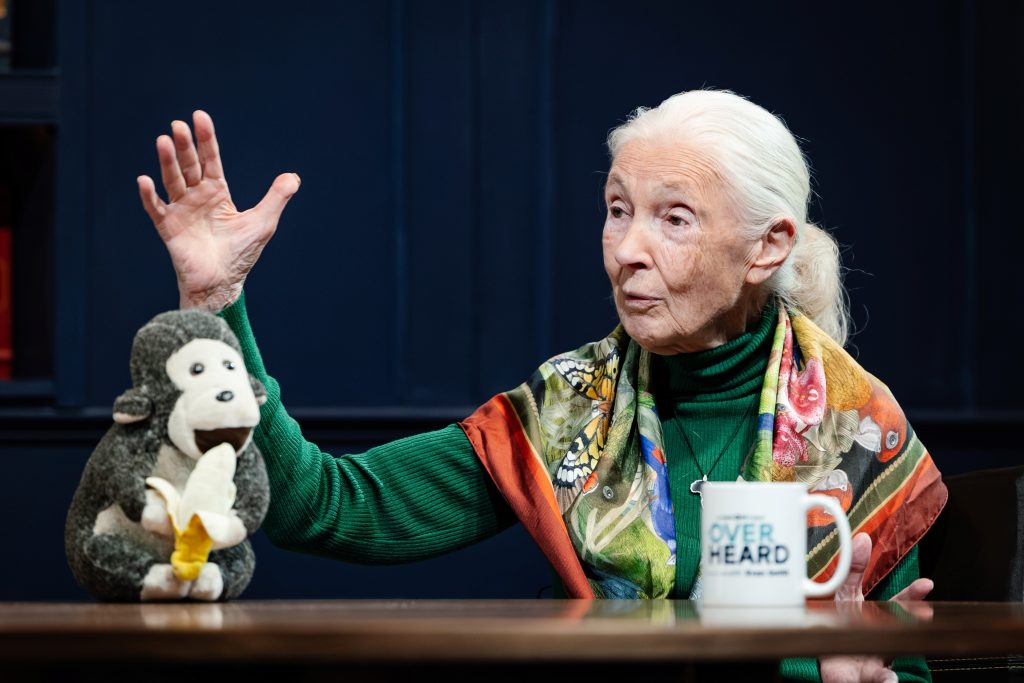 Jane Goodall Gallery