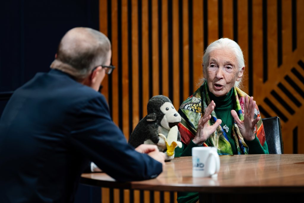 Jane Goodall Gallery